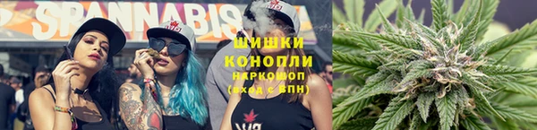 спайс Магас