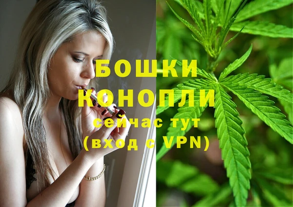 спайс Магас