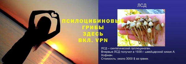 дурь Майский