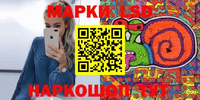 стаф Берёзовский