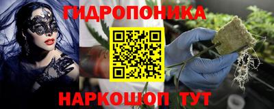 стаф Берёзовский