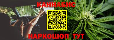 стаф Берёзовский