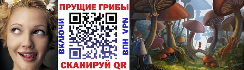 закладки hydra онион Галлюциногенные грибы прущие грибы Черкесск