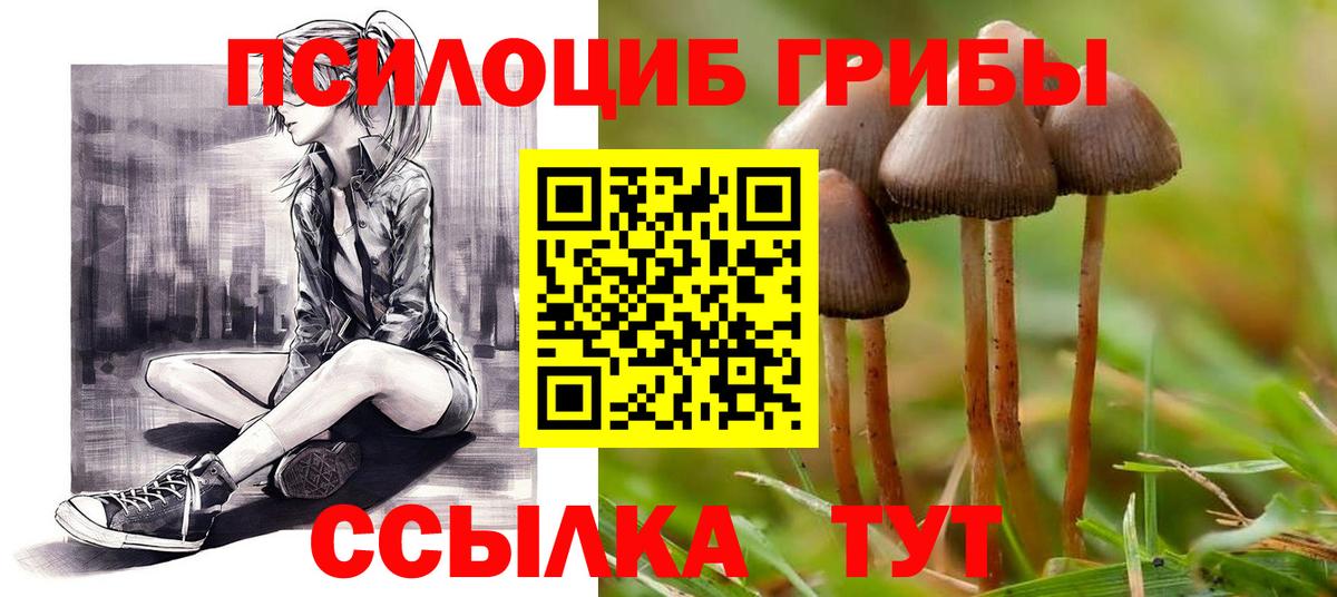 Галлюциногенные грибы GOLDEN TEACHER  Вход с VPN  Черкесск 